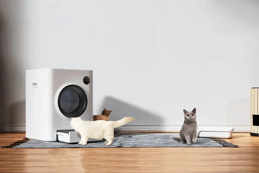 cat auto litter box