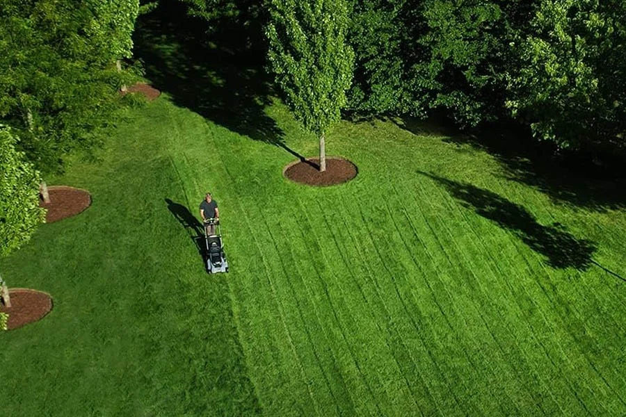 best electric self-propelled lawn mower